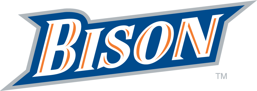 Bucknell Bison 2002-2011 Wordmark Logo diy iron on heat transfer